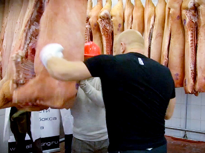 Russian fighter’s secret training at sausage factory