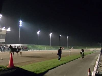 ‘Unforgettable’ racehorse outruns Dutch cyclist