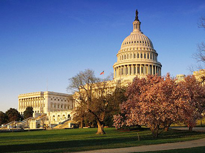Human cloning more popular than Congress