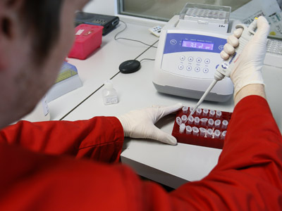 Sexually transmitted infection epidemic ravaging the US