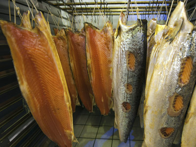 Genetically modified ‘frankenfish’ to appear in US stores