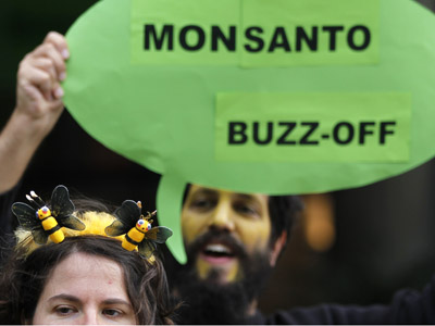Monsanto rider: New bill could make biotech companies immune to courts