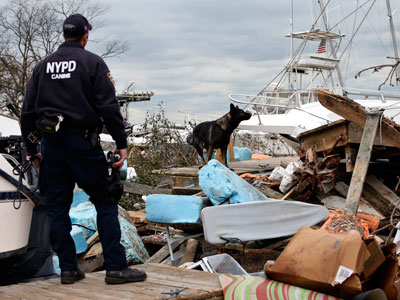 NYPD loses crucial evidence, guns and drugs to Sandy
