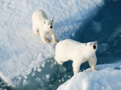 Russia hopes Arctic forum will end geopolitical chill