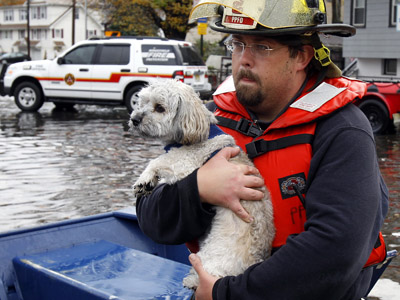 Hurricane Sandy leaves thousands of pets in need (PHOTOS)