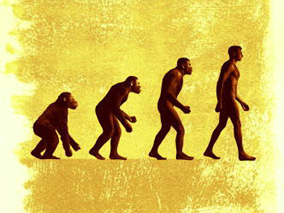 Texas recognizes evolution. Finally.