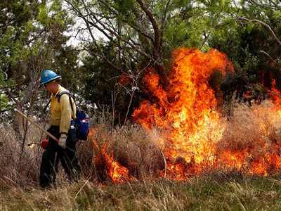 Perry's budget cuts worsen disastorous wildfires