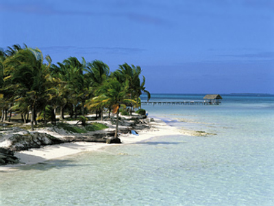 Tropical Cuba comes in from the cold