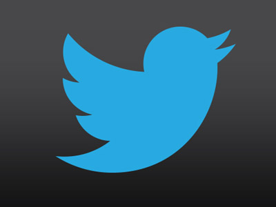 Twitter hands over Occupy protester’s tweets to NY judge