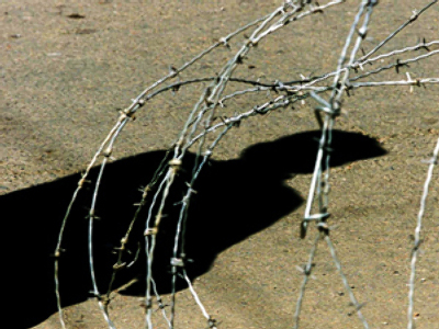 UK divided by torture evidence row