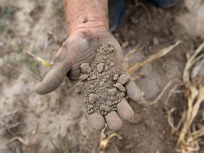 US insurance firms unlikely to cover $1 billion in home damage after record-breaking drought