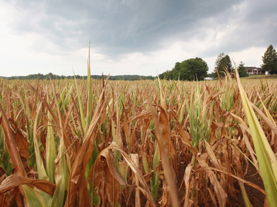 US drought might lead to food shortages and global unrest