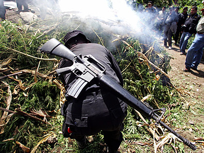 US laundered millions for drug cartels
