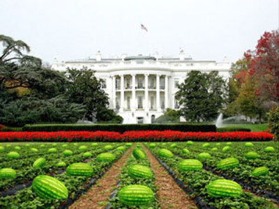 US Mayor to resign over racist watermelons