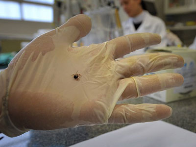 Doctors discover terrifying new tick-borne virus