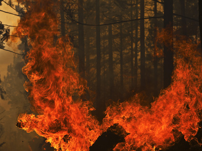 Wildfires force California to declare state of emergency (PHOTOS)
