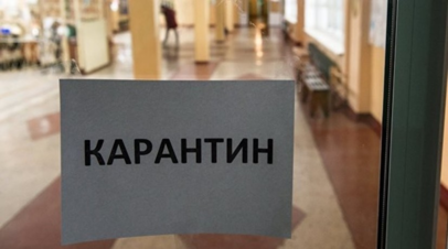 В шести классах гимназии Кургана ввели карантин из-за вспышки пневмонии