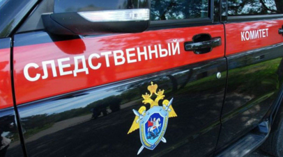 В Тюменской области проверяют сообщения о видео, в котором женщина пинает ребёнка