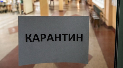 Все школы Шадринска будут закрыты на карантин с 31 января